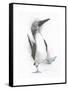 Happy Feet-Barbara Keith-Framed Stretched Canvas