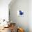 Happy Garden Blue-Bella Dos Santos-Stretched Canvas displayed on a wall