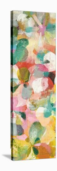 Happy Garden II-Danhui Nai-Stretched Canvas