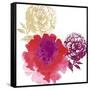 Happy Garden Reds-Bella Dos Santos-Framed Stretched Canvas