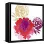 Happy Garden Reds-Bella Dos Santos-Framed Stretched Canvas