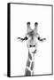 Happy Giraffe In Black & White-Sisi and Seb-Framed Stretched Canvas