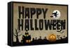 Happy Halloween Holiday Plastic Sign-null-Framed Stretched Canvas