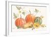 Happy Harvest Pumpkins-Silvia Vassileva-Framed Art Print