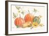 Happy Harvest Pumpkins-Silvia Vassileva-Framed Art Print