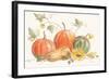 Happy Harvest Pumpkins-Silvia Vassileva-Framed Art Print