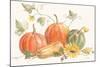 Happy Harvest Pumpkins-Silvia Vassileva-Mounted Art Print