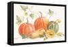 Happy Harvest Pumpkins-Silvia Vassileva-Framed Stretched Canvas