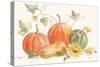 Happy Harvest Pumpkins-Silvia Vassileva-Stretched Canvas