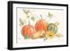 Happy Harvest Pumpkins-Silvia Vassileva-Framed Art Print