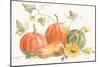 Happy Harvest Pumpkins-Silvia Vassileva-Mounted Art Print