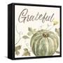 Happy Harvest VII Grateful-Silvia Vassileva-Framed Stretched Canvas