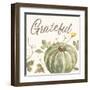 Happy Harvest VII Grateful-Silvia Vassileva-Framed Art Print