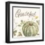 Happy Harvest VII Grateful-Silvia Vassileva-Framed Art Print