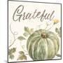 Happy Harvest VII Grateful-Silvia Vassileva-Mounted Art Print