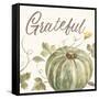 Happy Harvest VII Grateful-Silvia Vassileva-Framed Stretched Canvas