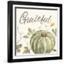 Happy Harvest VII Grateful-Silvia Vassileva-Framed Art Print