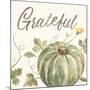 Happy Harvest VII Grateful-Silvia Vassileva-Mounted Art Print