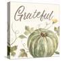 Happy Harvest VII Grateful-Silvia Vassileva-Stretched Canvas