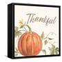 Happy Harvest VIII Thankful-Silvia Vassileva-Framed Stretched Canvas