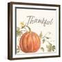 Happy Harvest VIII Thankful-Silvia Vassileva-Framed Art Print