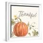 Happy Harvest VIII Thankful-Silvia Vassileva-Framed Art Print