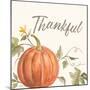 Happy Harvest VIII Thankful-Silvia Vassileva-Mounted Art Print