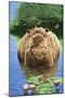 Happy Hippo, Illustration from Nature's Wonderland, 1969-null-Mounted Giclee Print