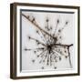 Happy holidays-Gilbert Claes-Framed Photographic Print