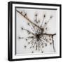 Happy holidays-Gilbert Claes-Framed Photographic Print