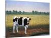 Happy Holstein-James W. Johnson-Stretched Canvas