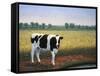 Happy Holstein-James W. Johnson-Framed Stretched Canvas