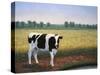 Happy Holstein-James W. Johnson-Stretched Canvas