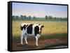 Happy Holstein-James W. Johnson-Framed Stretched Canvas