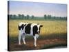 Happy Holstein-James W. Johnson-Stretched Canvas