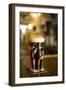 Happy Hour II-Karyn Millet-Framed Premium Photographic Print