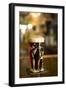 Happy Hour II-Karyn Millet-Framed Premium Photographic Print