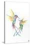 Happy Hummingbirds-Marc Allante-Stretched Canvas