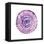 Happy Mandala 2-Lora Gold-Framed Stretched Canvas