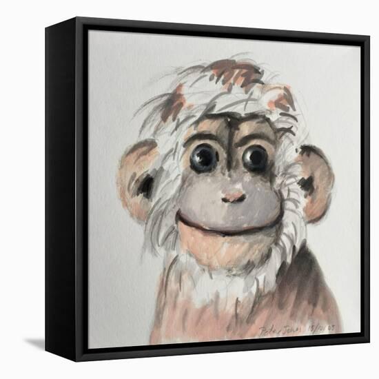 Happy Monkey, 2005,-Peter Jones-Framed Stretched Canvas