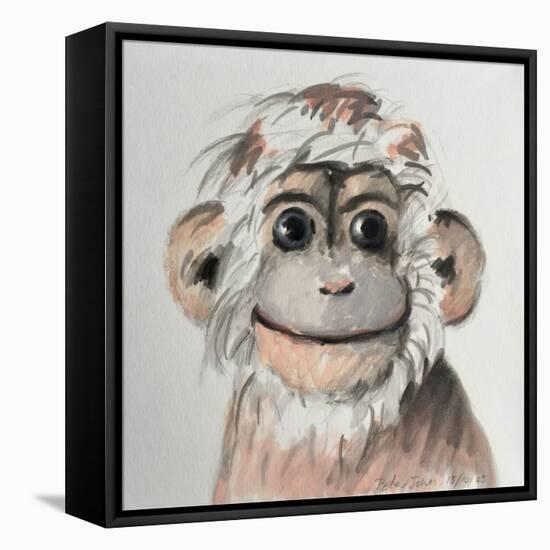 Happy Monkey, 2005,-Peter Jones-Framed Stretched Canvas