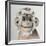 Happy Monkey, 2005,-Peter Jones-Framed Giclee Print