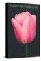 Happy Mothers Day, Pink Tulip-null-Stretched Canvas
