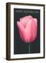 Happy Mothers Day, Pink Tulip-null-Framed Art Print