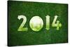 Happy New Sport Year-designsstock-Stretched Canvas