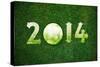 Happy New Sport Year-designsstock-Stretched Canvas