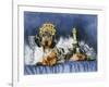Happy New Year with Party Hat-Barbara Keith-Framed Giclee Print