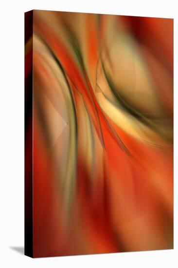 Happy New Year-Ursula Abresch-Stretched Canvas