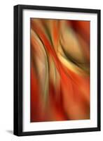 Happy New Year-Ursula Abresch-Framed Premium Photographic Print