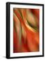 Happy New Year-Ursula Abresch-Framed Premium Photographic Print